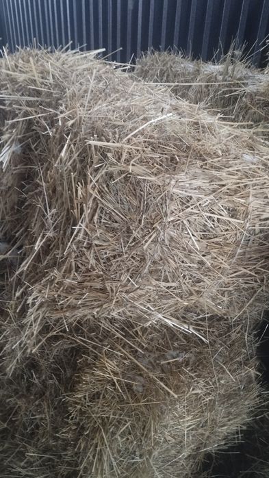 Табиғи шөп сатылады