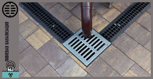 На любой вкус Евро лотки