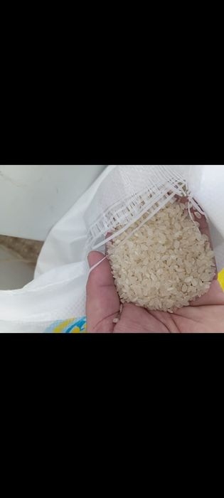 Күріш сатылады  25 кг!!!