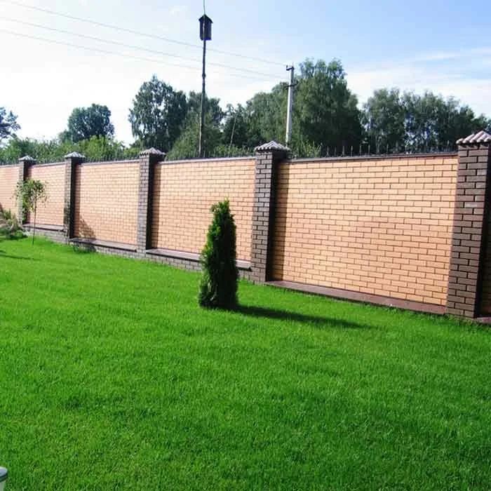 продам рулонные газоны