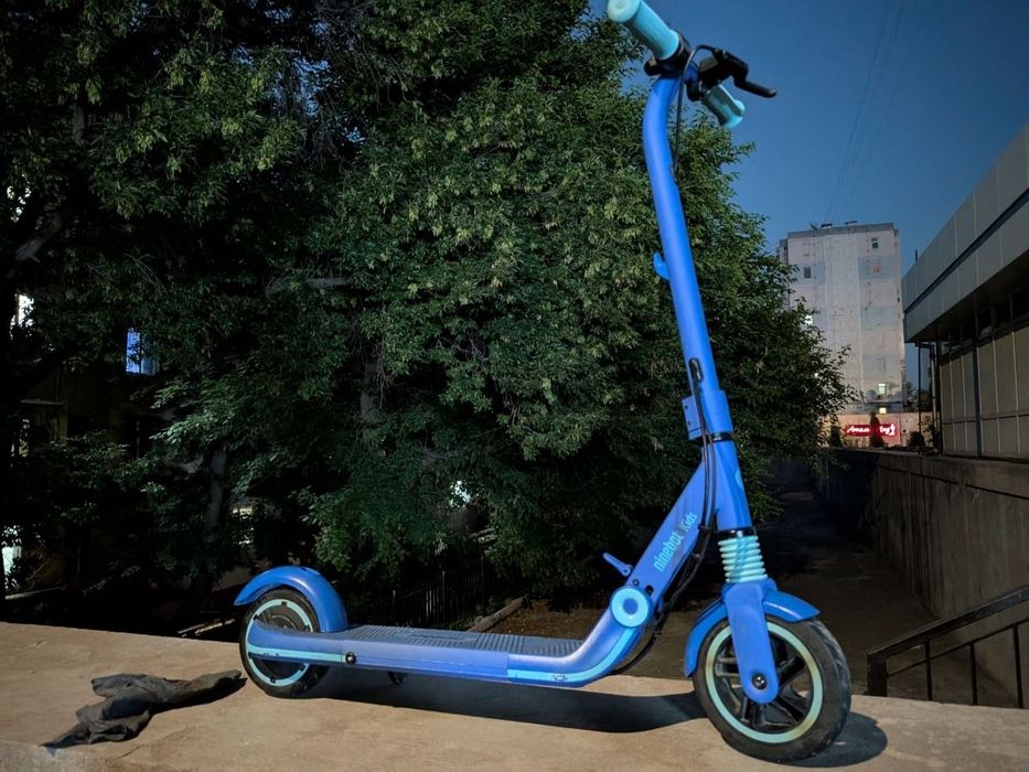 Электросамокат Ninebot kids E8