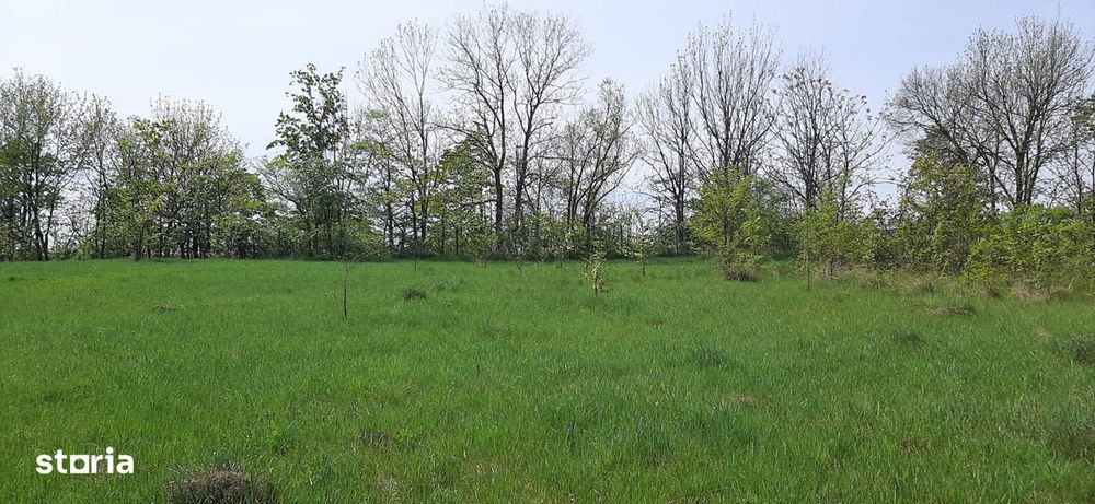Teren intravilan in Zaicesti zona Conacului cu latura de padure