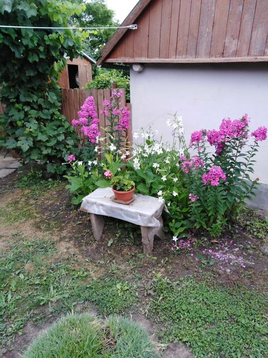 Casă la țară întreținută, 3 camere + teren generos – Trifești județul Iași