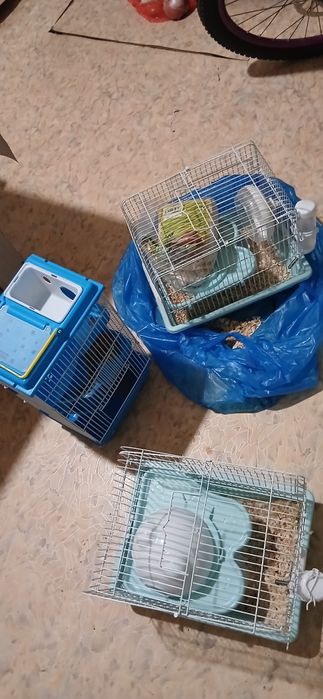 Продаю домик для хомяк