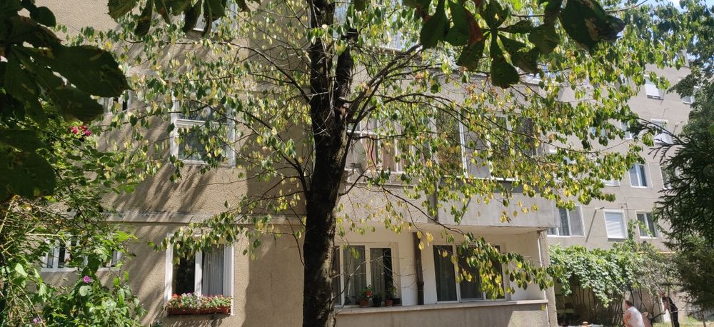 Garsoniera Centru Stei