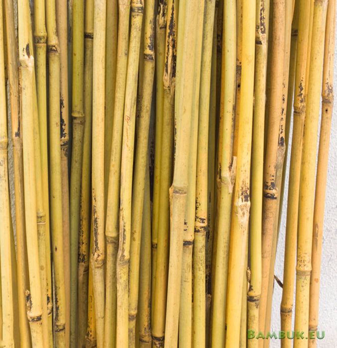 Бамбук на пръчки 120/150/180/210/300 см дължина