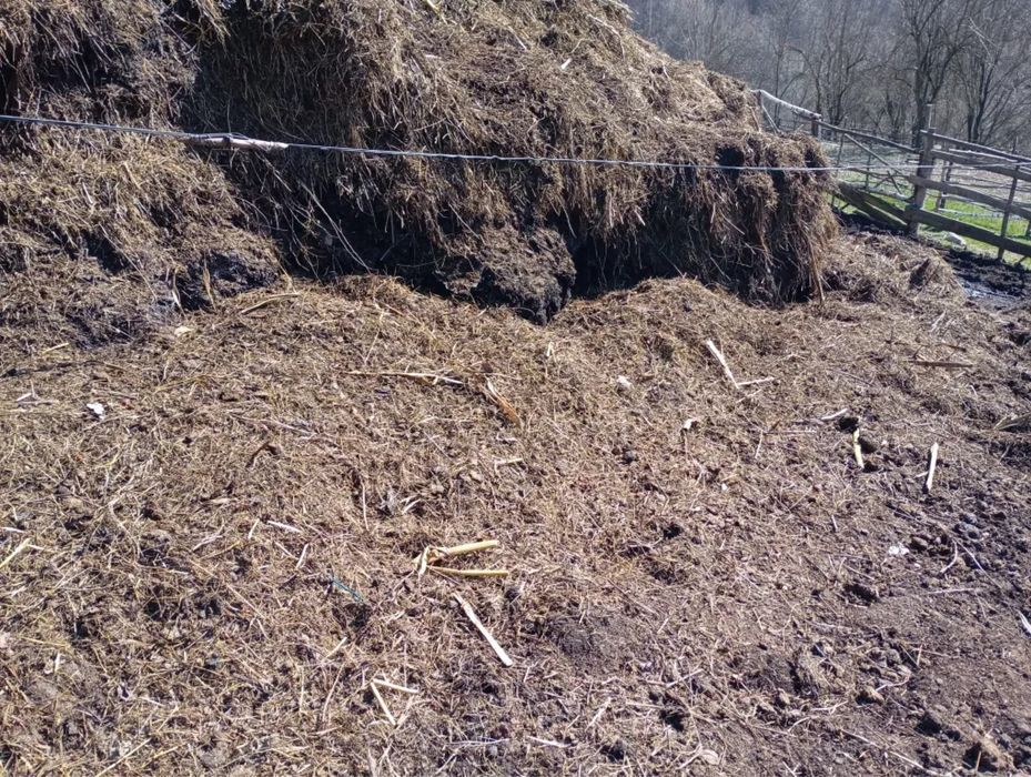 Gunoi de grajd bun pentru fertilizare