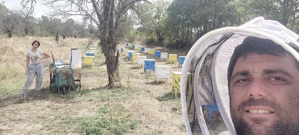 Пчелен МЕД от Драка