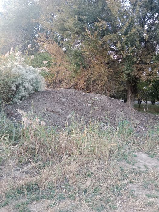 Навос сатылады продам