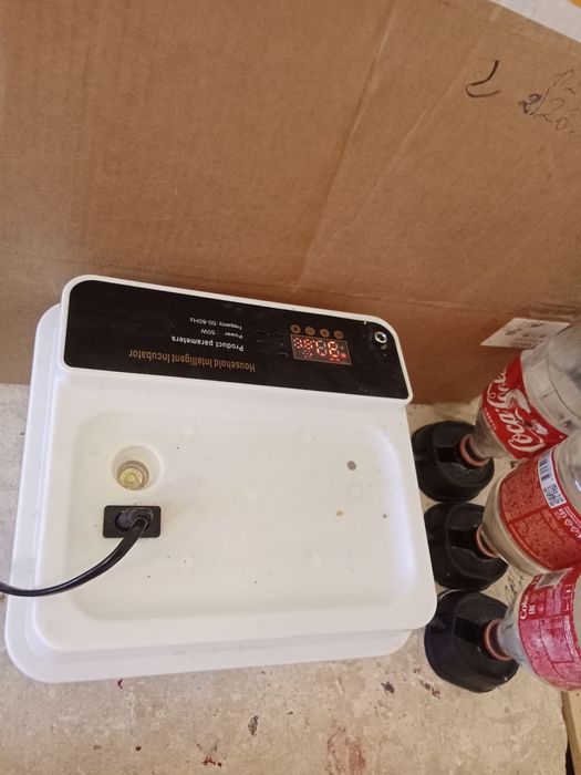 Инкубатор для яйц