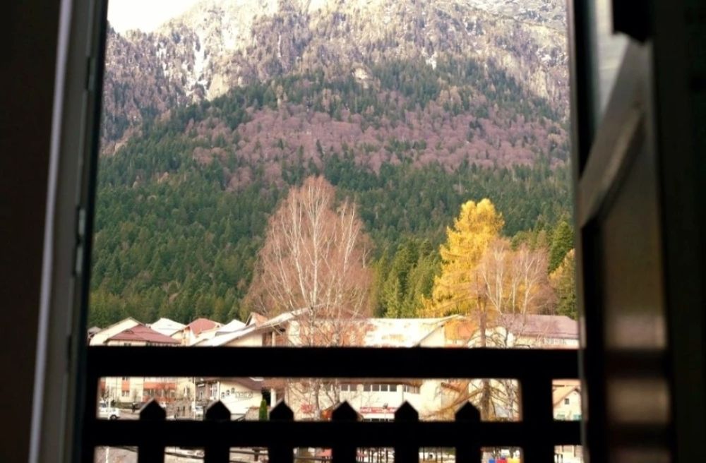 Chirie Busteni termen lung