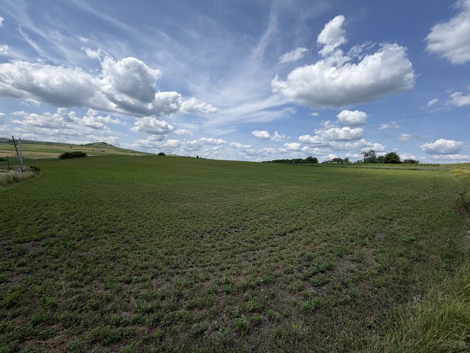 Teren extravilan 18.200 mp (1,82 ha) cu deschidere mare la asfalt