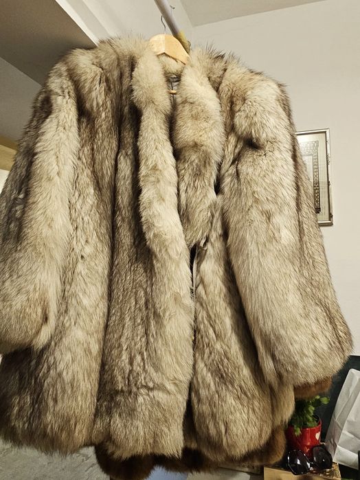 Haina de blana vulpe argintie