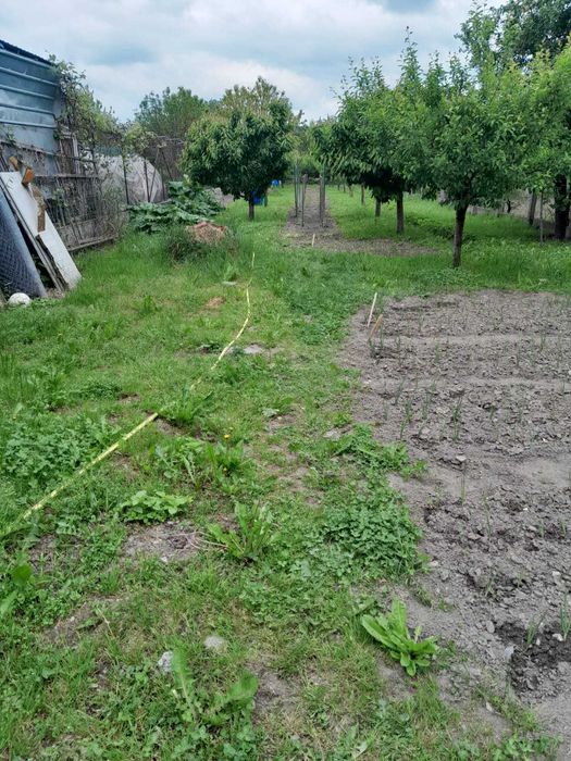 Casa cu curte si gradina in Cristian