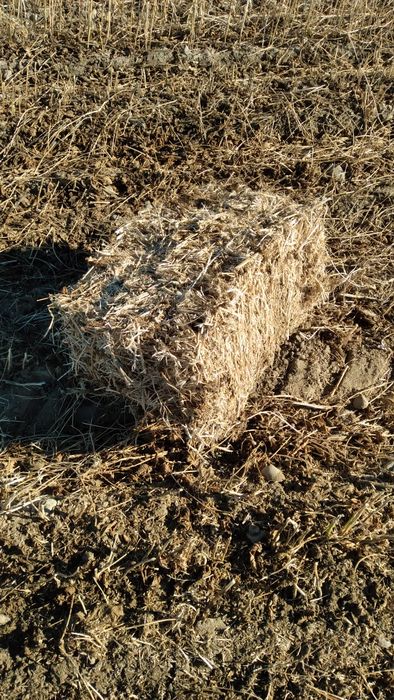 Продам тюк сои топан