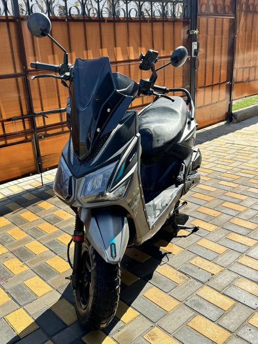 Самурай каваки четкий для этого сезона