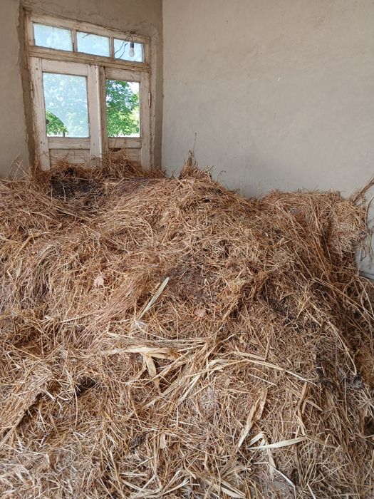 Zaldoridan tayyorlangan yem