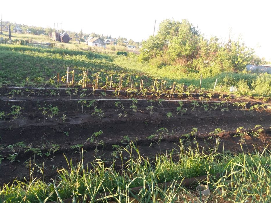 Продам дачу 12 соток