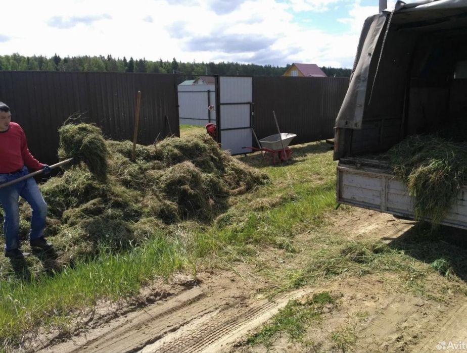 Бригада рабочих, уборка территории