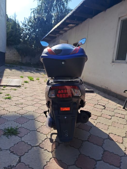 Продам мопед м 12