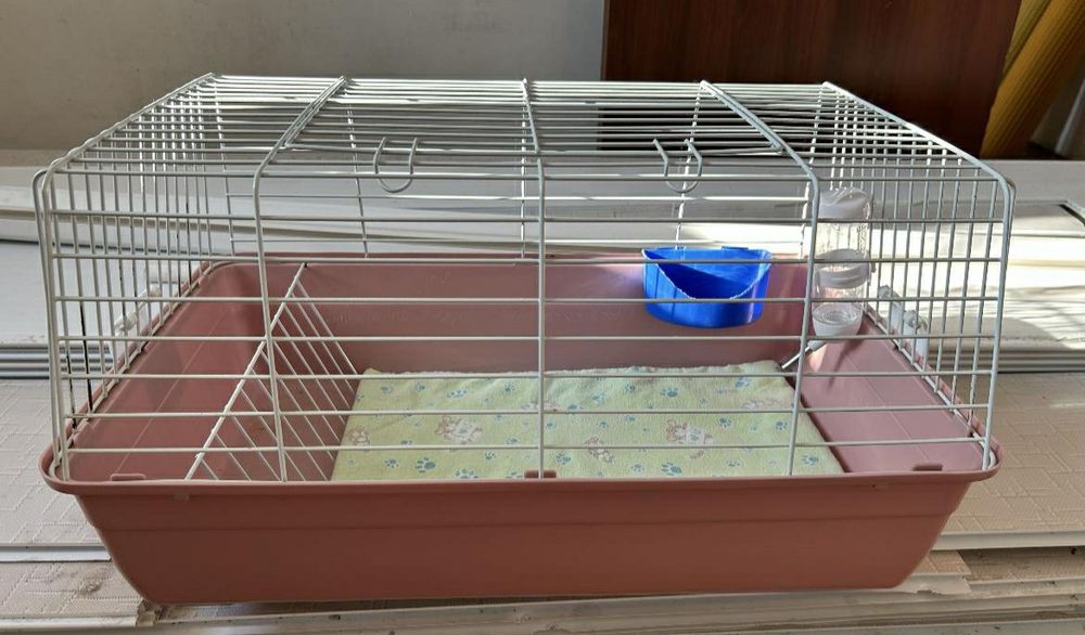 Клетки для грызунов