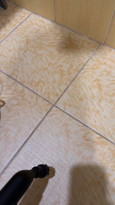 Аренда пароочистителя