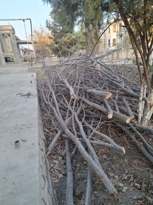 Утинлар сотилади