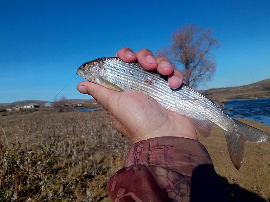 Перья для вязания мушек