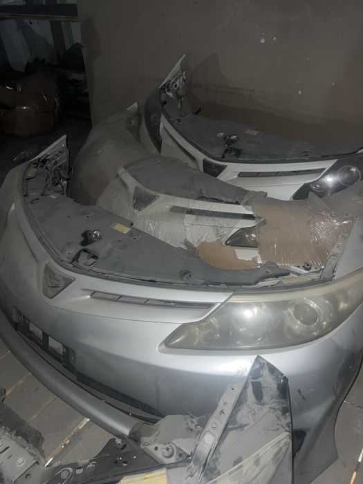 Ноускат естима