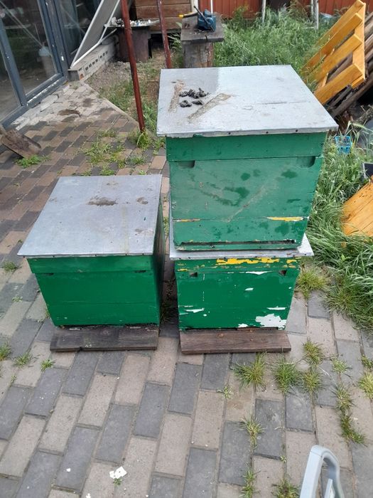 Vand 5 lazi de albine