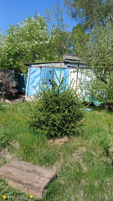 Дача на мирном продам