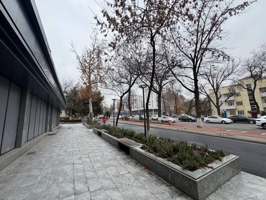 Ц-2 Консерватория | 844кв - нежилое помещение вдоль дороги Продажа