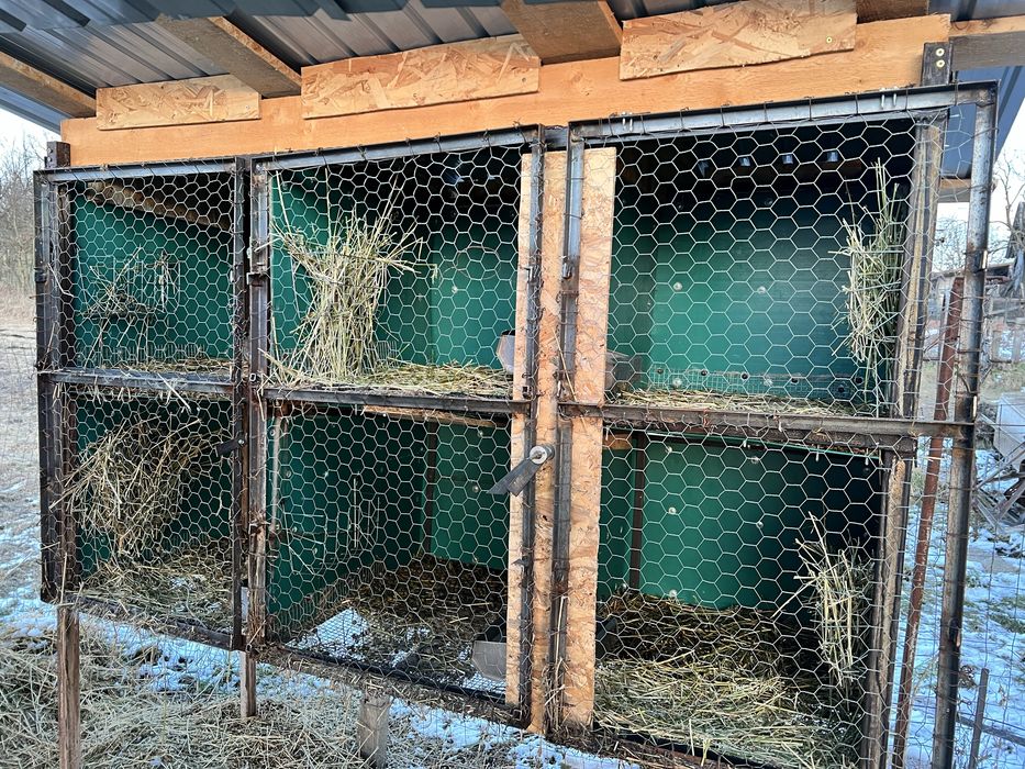 Cusca iepuri de vanzare cu 6 locuri