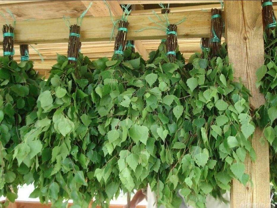 Берёзовый веник для бани