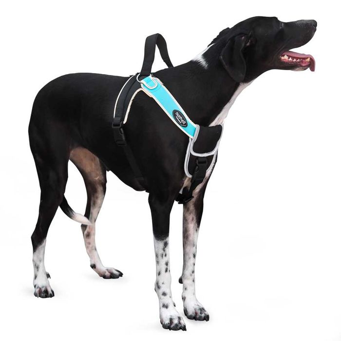 NUNBELL Светлоотразител нагръдник с ръкохватка за куче