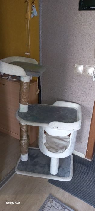 Кошкин дом для котёнка