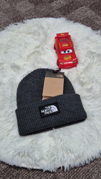 Caciula The North Face gri