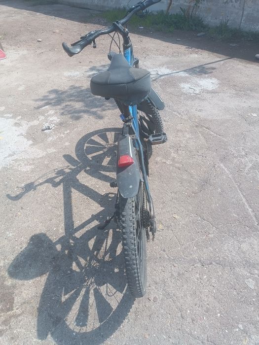 Velasapet 26 7skorli