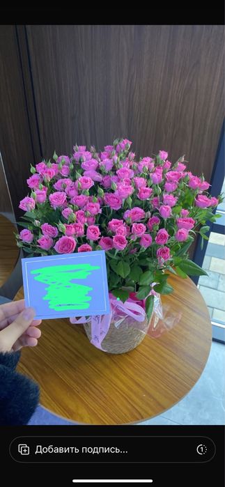 Продам букет кустовых роз свежие