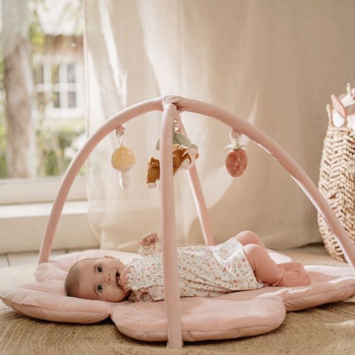 Активна гимнастика Little dutch fairy garden