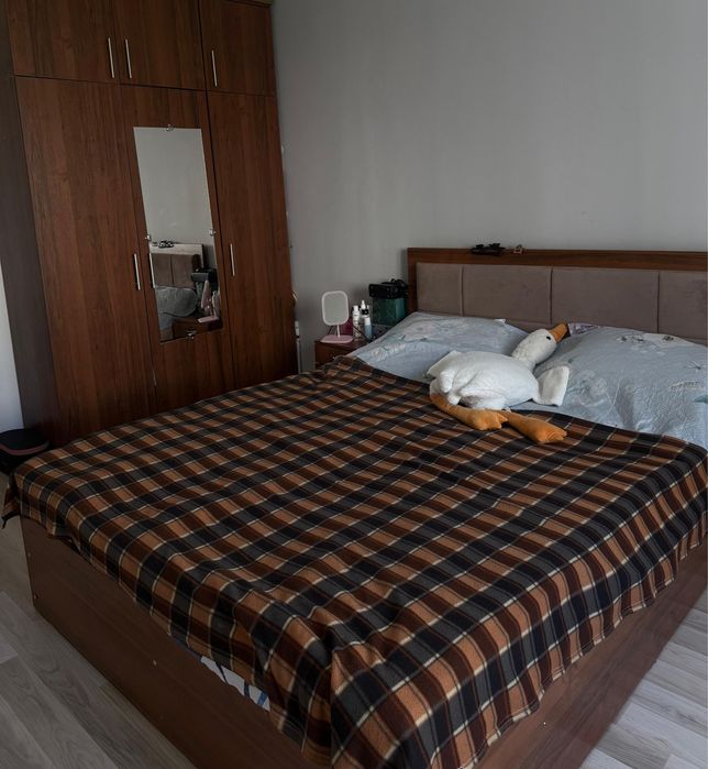 Ищем на подселение девушку