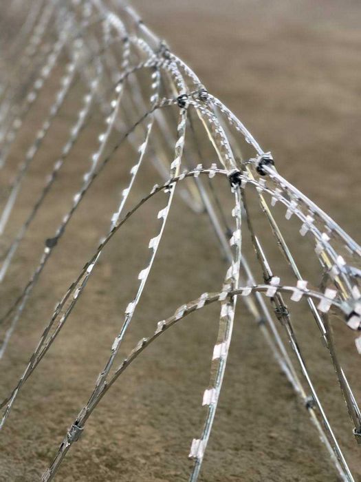 Егоза СББ АКЛ-1 500/3/25