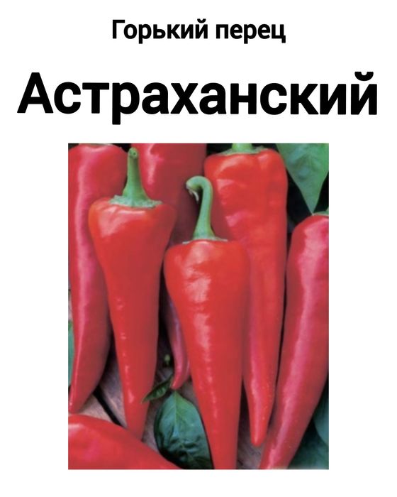 Рассада горького перца