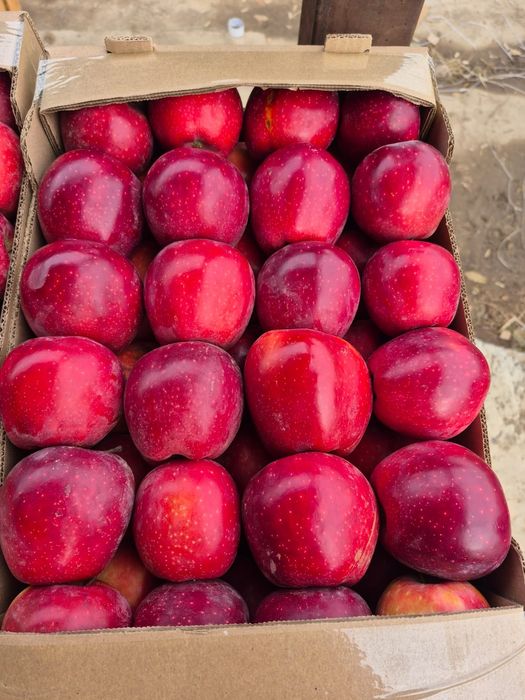 Яблоко продаётся Американка