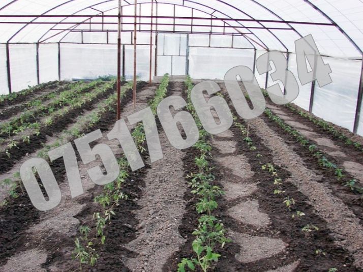 Plantator Cultivator Semanator Manual Rasaduri 01 Livrare GRATUITA