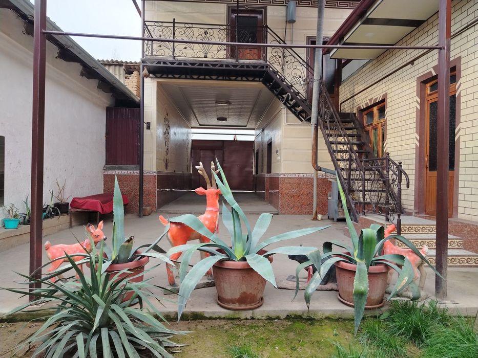 Kotta Agavalar sotiladi