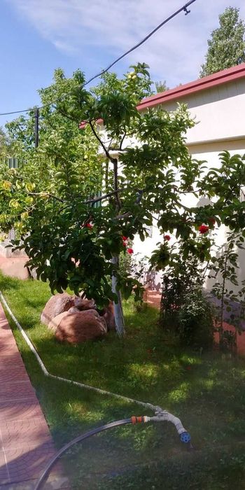 Продается или обмен на квартиру своя дача. Заходи живи.