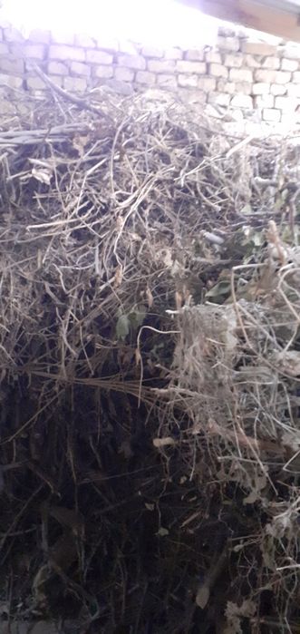 Qishki o'tinlar sotaman