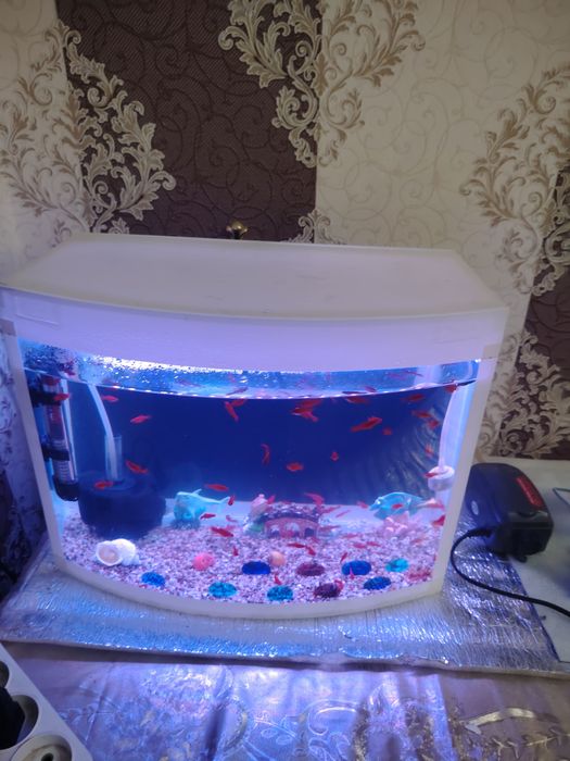 Akvarium 30Litr komplekt