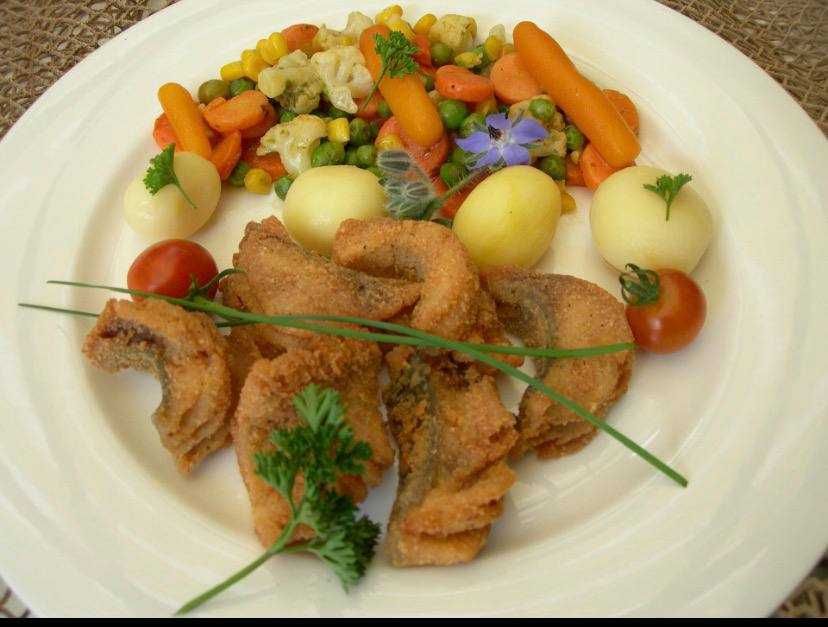 Аппарат для дробления рыбных костей.